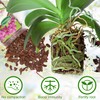 Orchid Bark Potting Mix,Premium Orchid Potting Mixture of Pine Bark