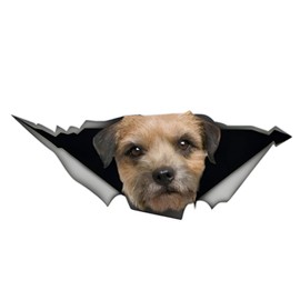 Car Sticker 22 cm (8.7 Inch) Border Terrier Sticker Funny 3D Torn Reflective Car Sticker Border Terrier Car Sticker Pet Dog Waterproof Sticker Bumper Sticker Decor