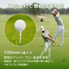 &FUN Dracon Golf Tees, Extra Long Tees, 3.9 inches (100
