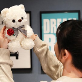 Cpoeof Teddy Bear Plush Toy for Valentine's Day, Cute 9.8 Inch Teddy Bear Plush Toy with Rose Soft Small Cuddly Bear Toy, Gifts for Boyfriend, Boyfriend (White)