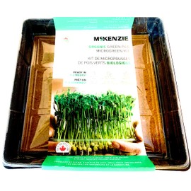 Green Pea Microgreens Grow Kit
