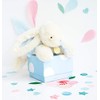 Doudou et Compagnie Bonbon Rabbit Soft Toy 25 cm