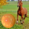 horzmetnex 30 Inch Horse Ball Cover Herding Ball Cover High-Strength