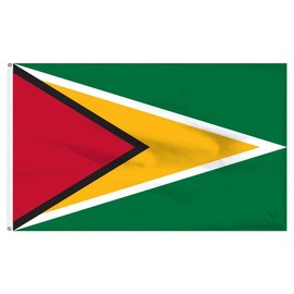 Trade Winds 3x5 Guyana Flag 3'x5' House Banner Brass Grommets Super Polyester Premium Fade Resistant