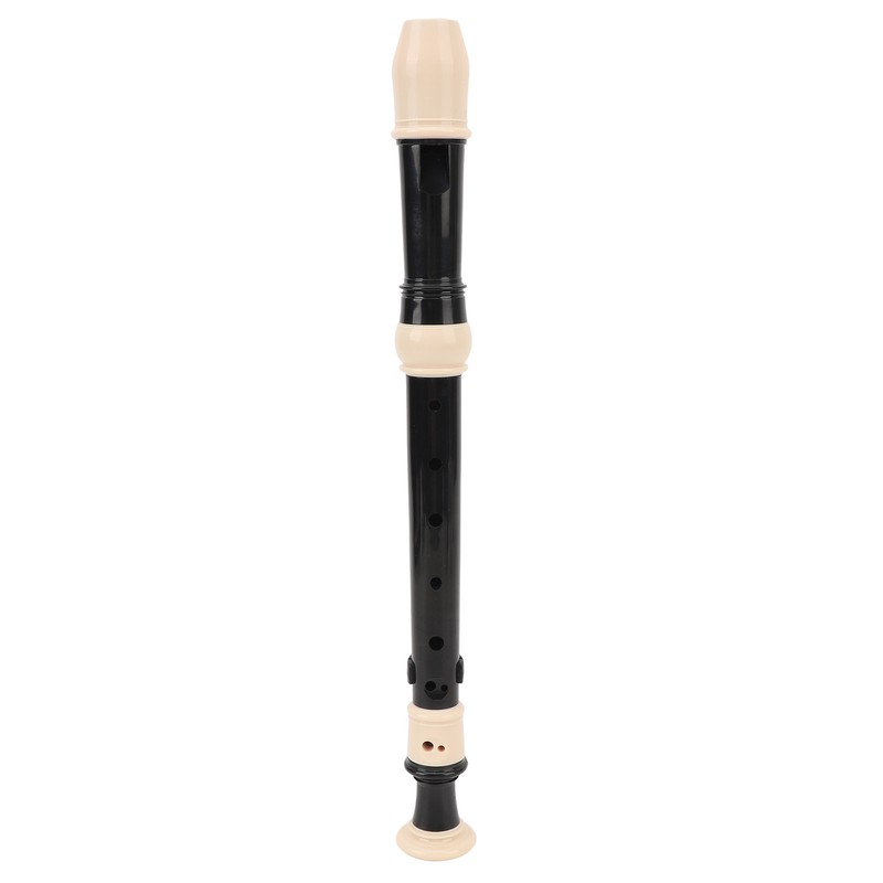 8 Hole Recorder Detachable Soprano Recorder Musical Instrument with Cleaning