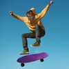 ElliTarr Skateboard Grip Tape Sheet 44 x 10 Inch Longboard