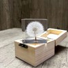 DESHINTKE Cube Dandelion Specimen Paperweight with Wood Box, 2 inch