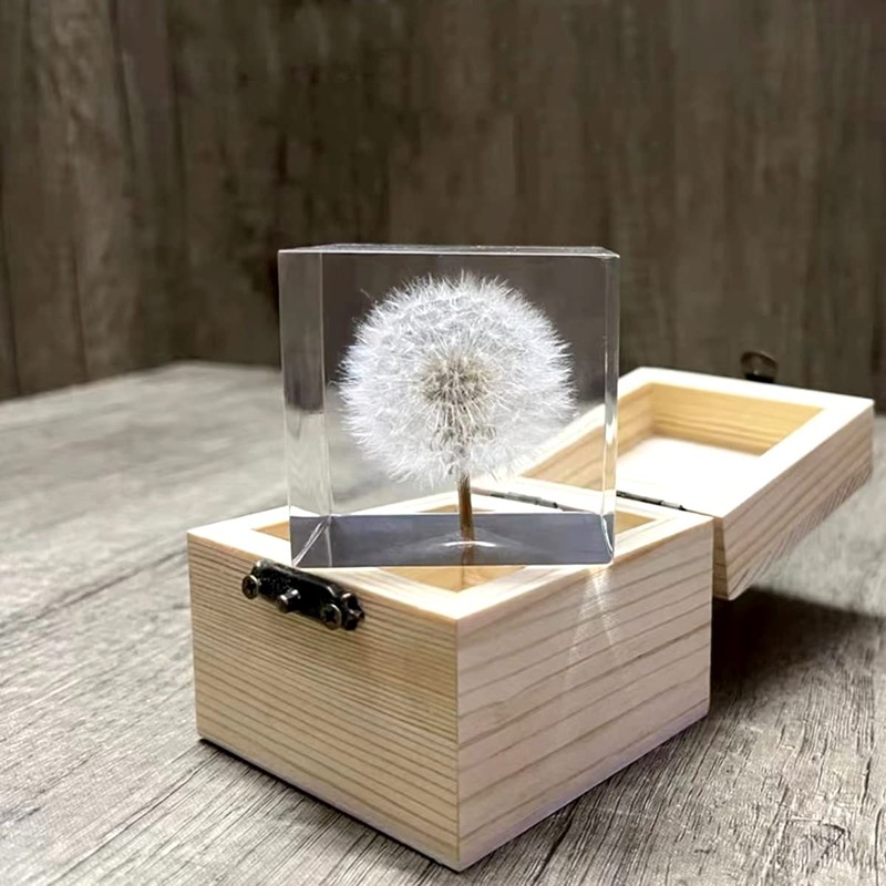 DESHINTKE Cube Dandelion Specimen Paperweight with Wood Box, 2 inch
