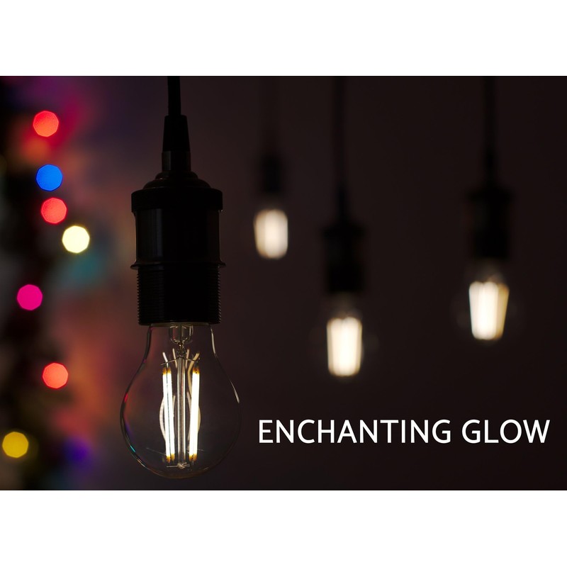 Revel 6W Dimmable LED Edison Light Bulbs, 2700K Warm White,