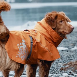 Hurtta Monsoon Coat, Dog Raincoat, Buckthorn, 16 in