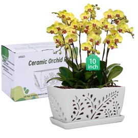 LKSSZS Ceramic Orchid Pot, 10 Inch Rectangular Orchid Pots with Holes, Premium Thickened Handmade Glazed Pot for Orchidaceae Plants, Indoor Outdoor Decorative Flower Pot for Easy Repotting