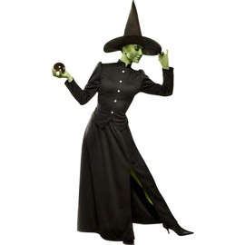 Classic Witch Costume - Large - Dress Size 12-14