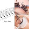 COAST GIRL Premade Fans Eyelash Extensions 3D 4D 5D 6D