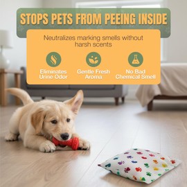 NOPEE Dog Marking Prevention Product – Dog Pee Deterrent Indoor – Puppy Potty Training Aids– Long-Lasting Pee Stopper Bag, Pet & Child Safe, No Sprays, 6 Months Protection - Rainbow Paws