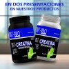 Creatina Monohidratada En Polvo 1kg Nit-pro Varios Sabores