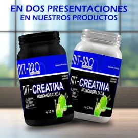 Creatina Monohidratada En Polvo 1kg Nit-pro Varios Sabores                                                                                            