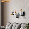 PAVSTINE 2 Pcs Acrylic Square Floating Shelves, No Drill Black