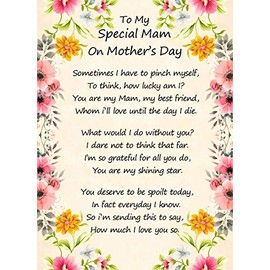 Mothers Day Verse Poem Greeting Card (Special Mam, Flower Border)