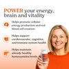 NatureCity True-B Plant-Based Super B Vitamin Complex Supplement |Made from