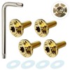 RENPA Titanium Alloy License Plate Specific Bolt with Snowflake Design,