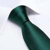 DiBanGu Silk Emerald Green Necktie and Handkerchief Cufflinks Tie Clip