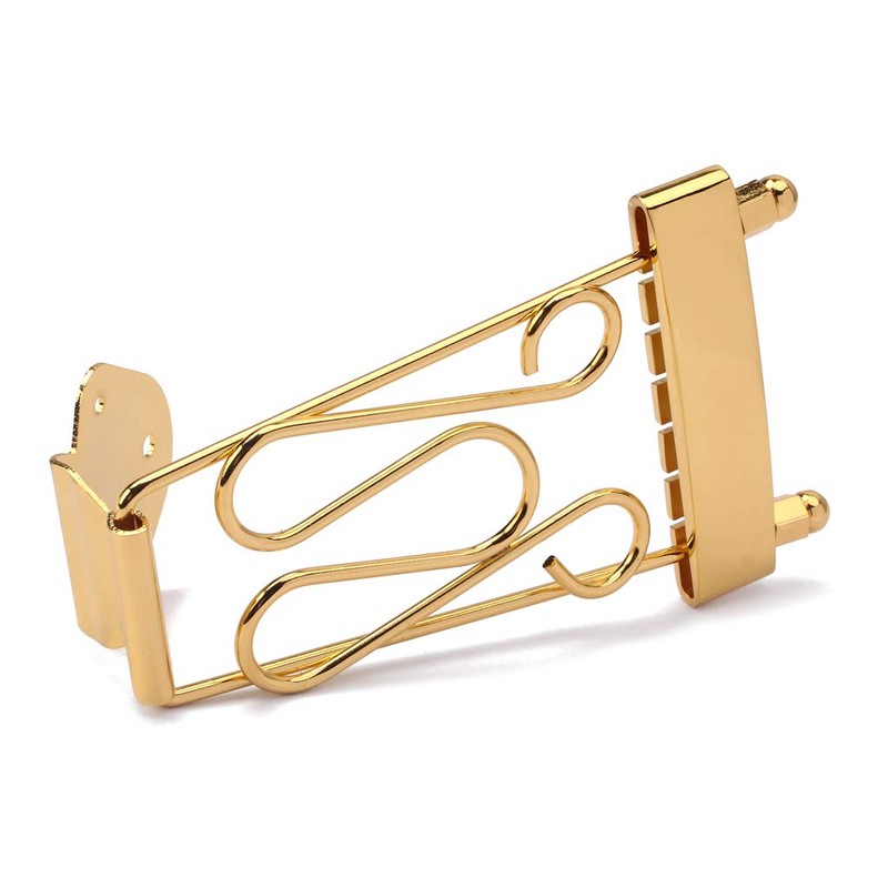 Alnicov One Set 6 String Jazz Archtop Guitar Trapeze Tailpiece