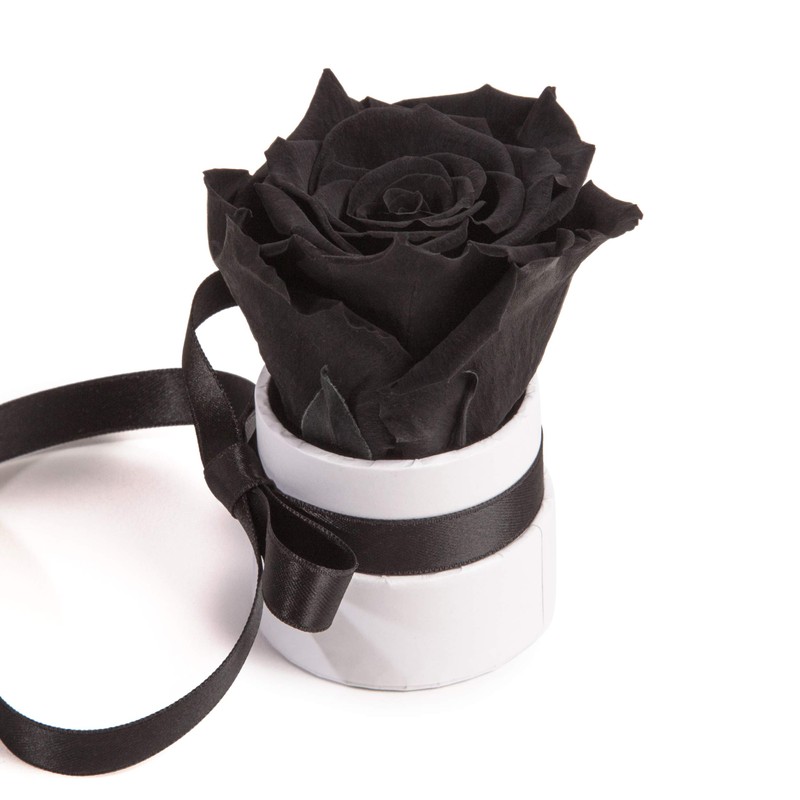 ROSEMARIE SCHULZ Heidelberg Small Rose Box White Round Infinity Rose
