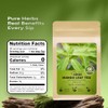 FullChea - Mango Leaf Tea Bags, 60 Count, Dried Mango