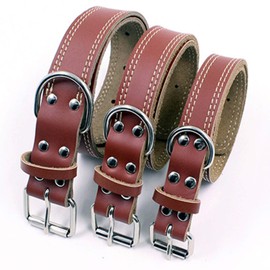 CoreLife Leather Dog Collar, Walking/Training Collar for Small Medium Large Dogs - Medium (16" - 21") Brown