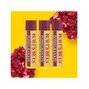 Burt's Bees Pomegranate Lip Balm Trio / 버츠비 포머그래넛트 립밤 트리오