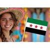Syrian revolution Handheld Small Flag Set,10 PCS 5×8 Inch Mini