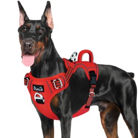 SlowTon No Pull Dog Harness, Heavy Duty No Choke Pet Harness with 2 Leash Clips and Easy Control Vertical Handle, Adjustable Soft Padded Dog Vest for Small, Medium and Large Dogs (Red, Large)