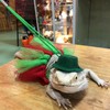 Reptile Pet Leash Kit Christmas Reptile Harness with Skirts Hat