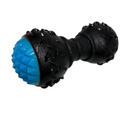 Zvire Squeaky Dog Toys – Set of 2 Interactive Chew Toys for Dogs (Dumbbell Bone & Rugby Ball) | Tough Spiky Teething Toys for Small & Medium Dogs | Assorted Colors Sent Randomly