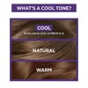 L'Oreal Paris Excellence Cool Supreme Permanent Hair Color, Ash, 100
