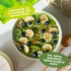 Everyday Organic Matcha Green Tea Powder - Rich Antioxidant &