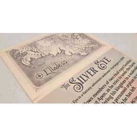 The Silver Eye Webcomic Double-Sided Map and Blurb Card