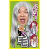 Party City カツランド バラエティグッズ 白髪ロン毛 ユニセックス 白