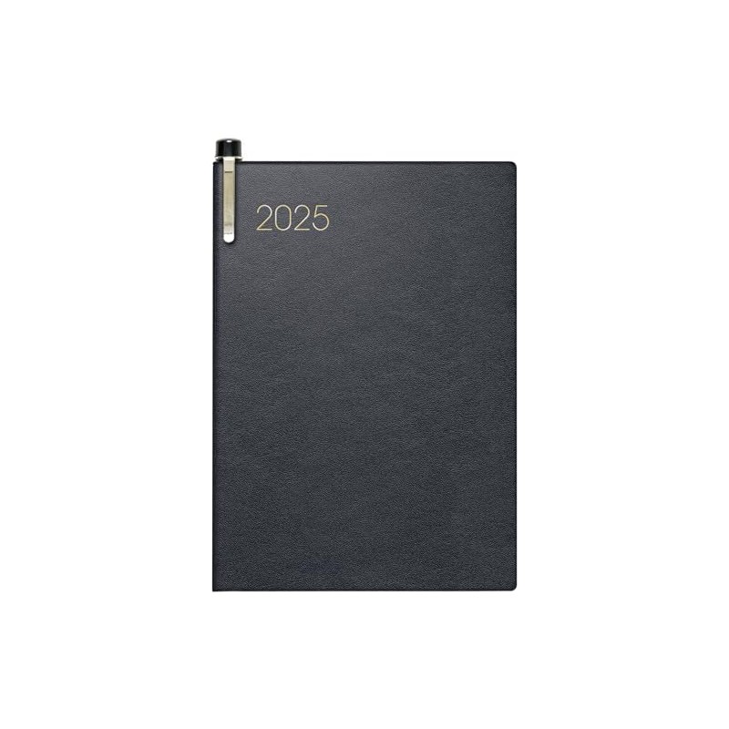 BRUNNEN Pocket Diary Model 713 (2025), 2 Pages = 1