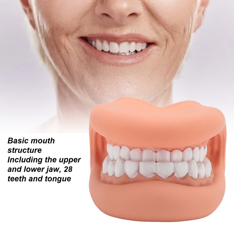 Mouth Puppet with Tongue 28 Teeth Silicone Speech Therapy Demonstration