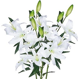 Grand Verde Lirio Ramo Flores Artificiales 76cm Alto Docenas Cabezas de Seda Florecientes - Decoración Hogar Boda Fiesta Interior Tienda Oficina Manualidades Centro Mesa - Juego de 3 Piezas (Blanco)