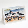 Caroline's Treasures Oystercatchers Feeding Greeting Cards Pack of 8 Blank