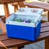 Andes 5L Cool Box for Food and Drinks, Fits 6