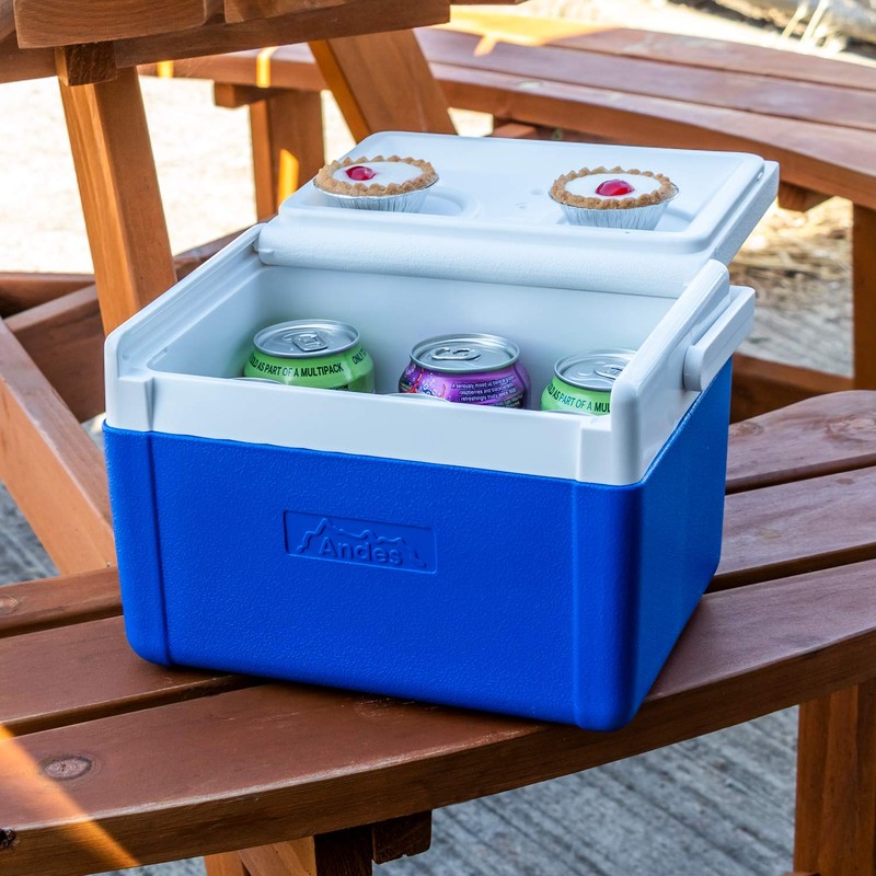 Andes 5L Cool Box for Food and Drinks, Fits 6