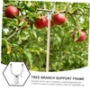 BESPORTBLE 5pcs Tree Branch Support Crutch for Straightening Plants Gardening