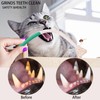 Aruigu Pack of 7 Catnip Sticks, 2 Teething Ropes for