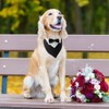 Dog Tuxedo Bandana, Dogs Wedding Party Suit Adjustable Dog Bowtie