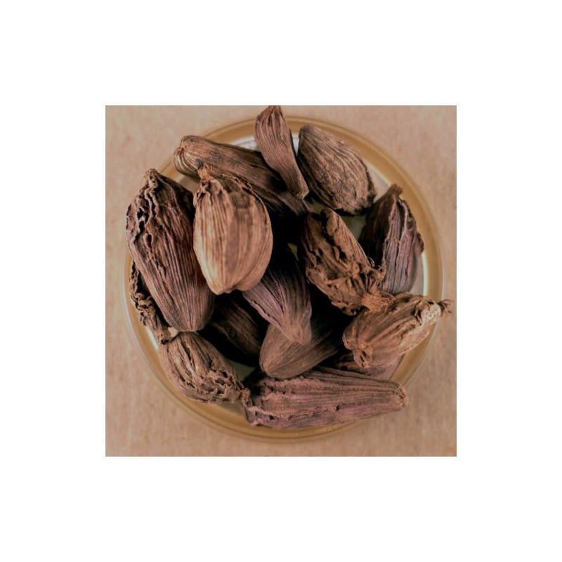 Cardamom, Whole Black Pods - 2.1 oz Stovetop Shaker Jar