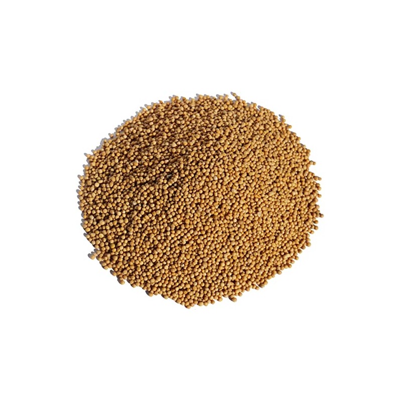 Yellow Mustard Seeds, Original Spices, Herbs, Commercial Use, Mustard, Yellow