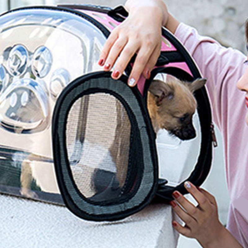 Transparent Cat Carriers Portable Travel Pet Backpack Multifunctional Foldable Pet